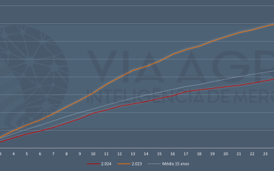 No início de 2024, abate de ovinos do Uruguai fica abaixo da média.