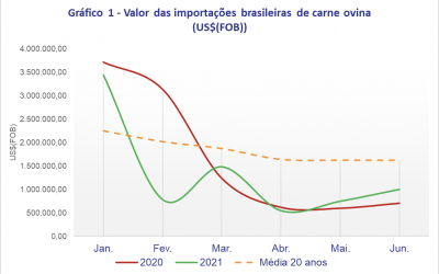 Valor das importações brasileiras de carne ovina no primeiro semestre de 2021